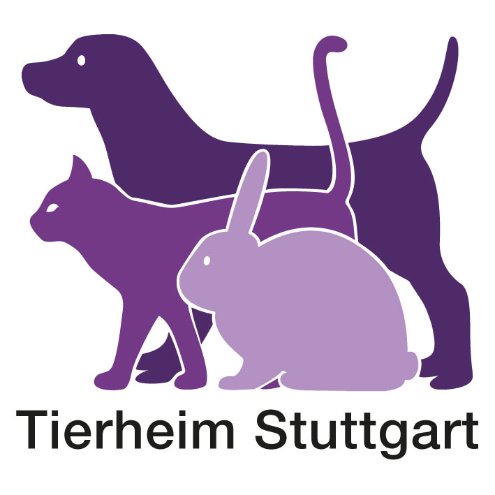 Fahrzeugbeschriftung mit Digitaldruck Werbetechnik Ludwigsburg